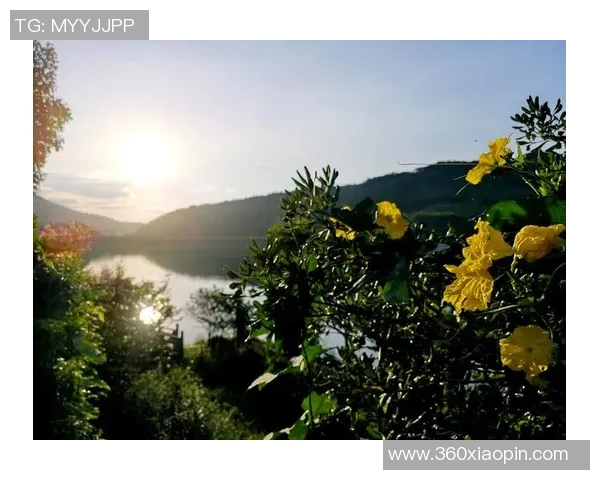 《探索QQ足球球星头像背后的个性与魅力,让你了解每位球员的独特风采》 《探索QQ足球球星头像背后的个性与魅力,让你了解每位球员的独特风采》